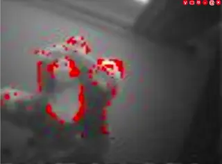 ESP32-CAM MJPEG2SD Motion Security Camera